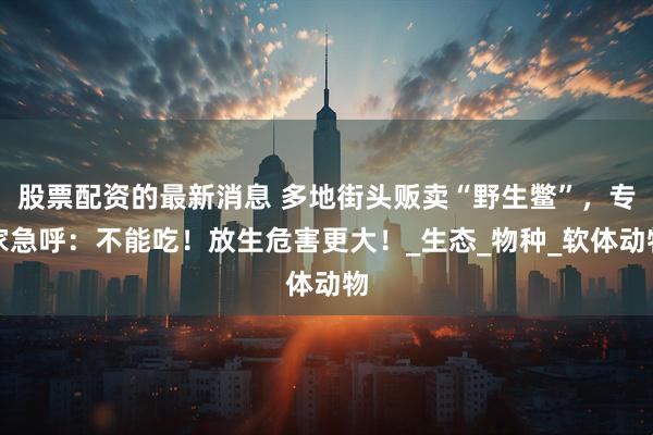 股票配资的最新消息 多地街头贩卖“野生鳖”，专家急呼：不能吃！放生危害更大！_生态_物种_软体动物