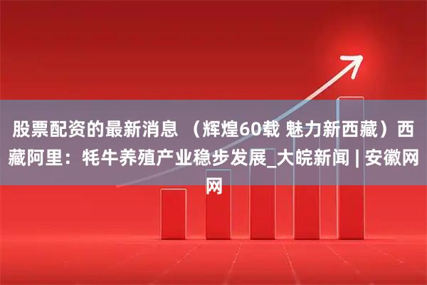 股票配资的最新消息 （辉煌60载 魅力新西藏）西藏阿里：牦牛养殖产业稳步发展_大皖新闻 | 安徽网